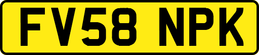 FV58NPK