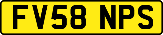 FV58NPS
