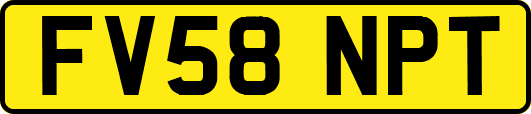 FV58NPT