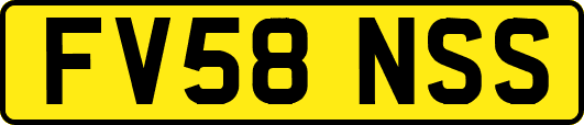 FV58NSS