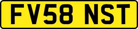 FV58NST