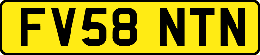 FV58NTN