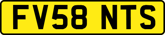 FV58NTS