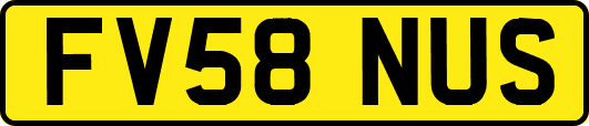 FV58NUS
