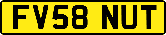 FV58NUT