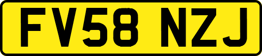 FV58NZJ
