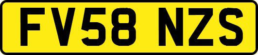 FV58NZS