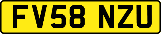 FV58NZU