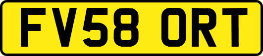 FV58ORT
