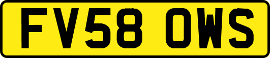 FV58OWS