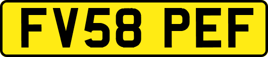 FV58PEF