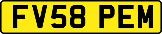 FV58PEM