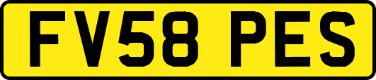 FV58PES