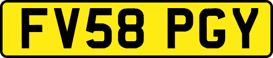 FV58PGY