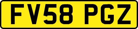 FV58PGZ