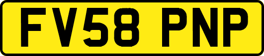 FV58PNP