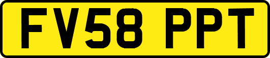 FV58PPT