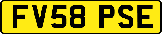 FV58PSE
