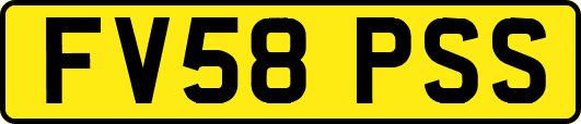 FV58PSS