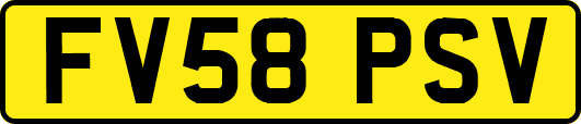 FV58PSV
