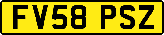 FV58PSZ
