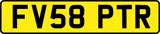 FV58PTR