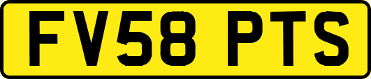 FV58PTS