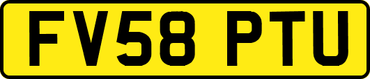 FV58PTU