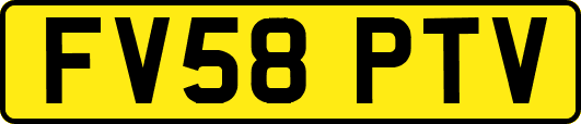 FV58PTV