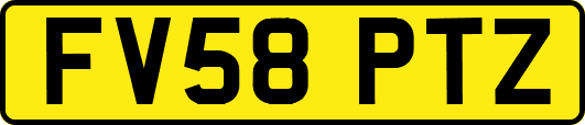 FV58PTZ