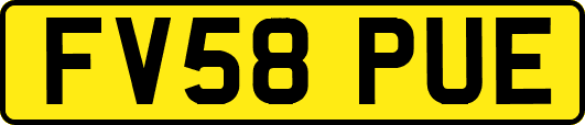 FV58PUE
