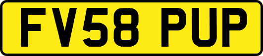 FV58PUP