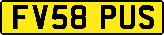 FV58PUS