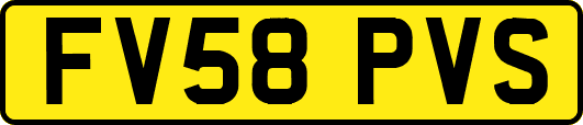 FV58PVS