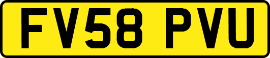 FV58PVU