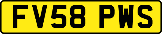 FV58PWS
