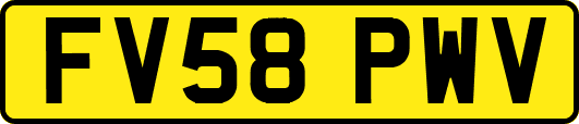 FV58PWV