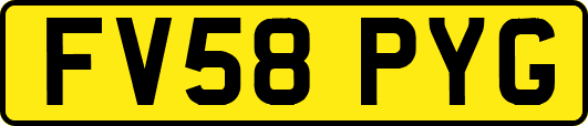 FV58PYG