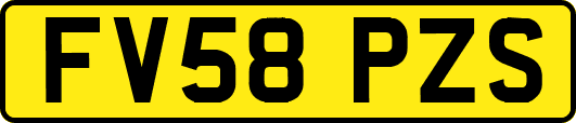 FV58PZS