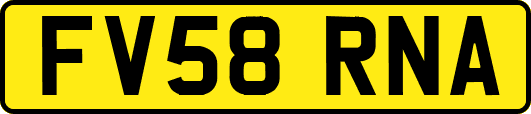 FV58RNA