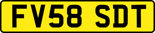 FV58SDT
