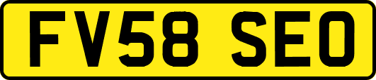 FV58SEO
