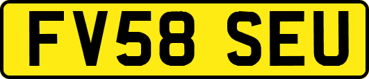 FV58SEU