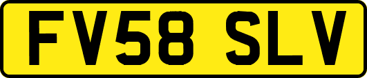 FV58SLV