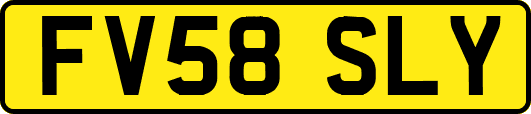 FV58SLY