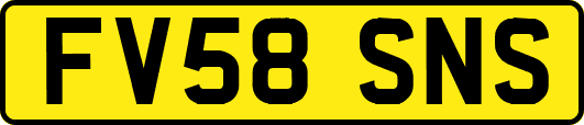 FV58SNS