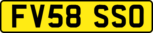 FV58SSO