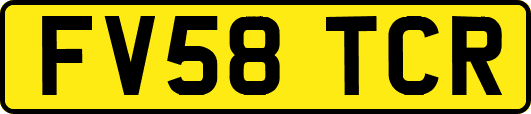 FV58TCR