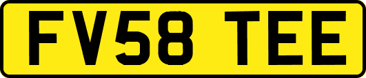 FV58TEE