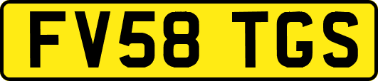 FV58TGS